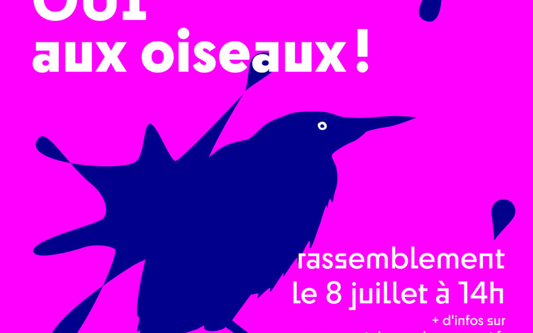 SAUVONS LES OISEAUX !  NON AU PAINT BALL  sur l’île des loisirs